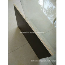 12mm Poplar Core Film Faced Plywood